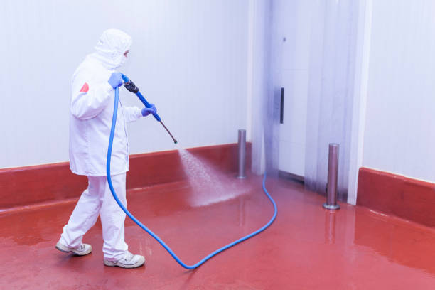 Best Rust Removal  in College Park, GA